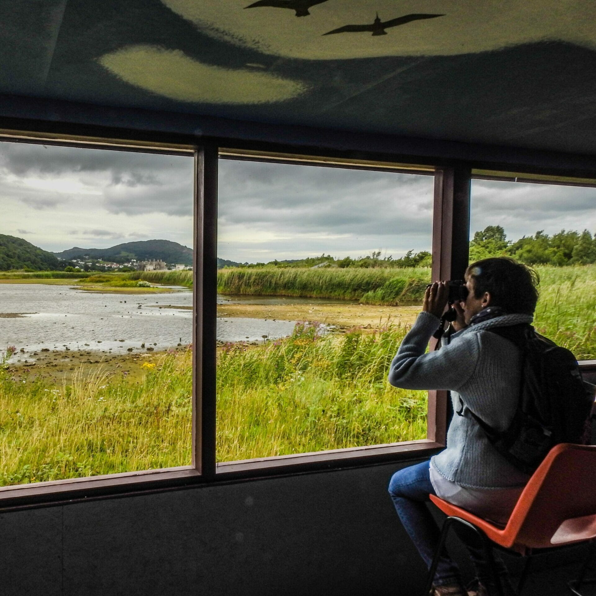 MM - 22nd Sept 22 - Autumnal Nature Ramble – Photography at RSPB Conwy - John Bradburn